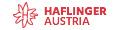 Haflinger Austria